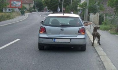 pitanje 1